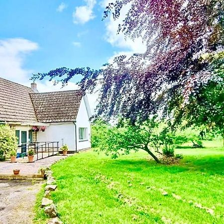 Three Bedroom Rural, Relaxing And Peaceful,Dogs Welcome! With Cymru Holidays 阿伯加文尼 外观 照片