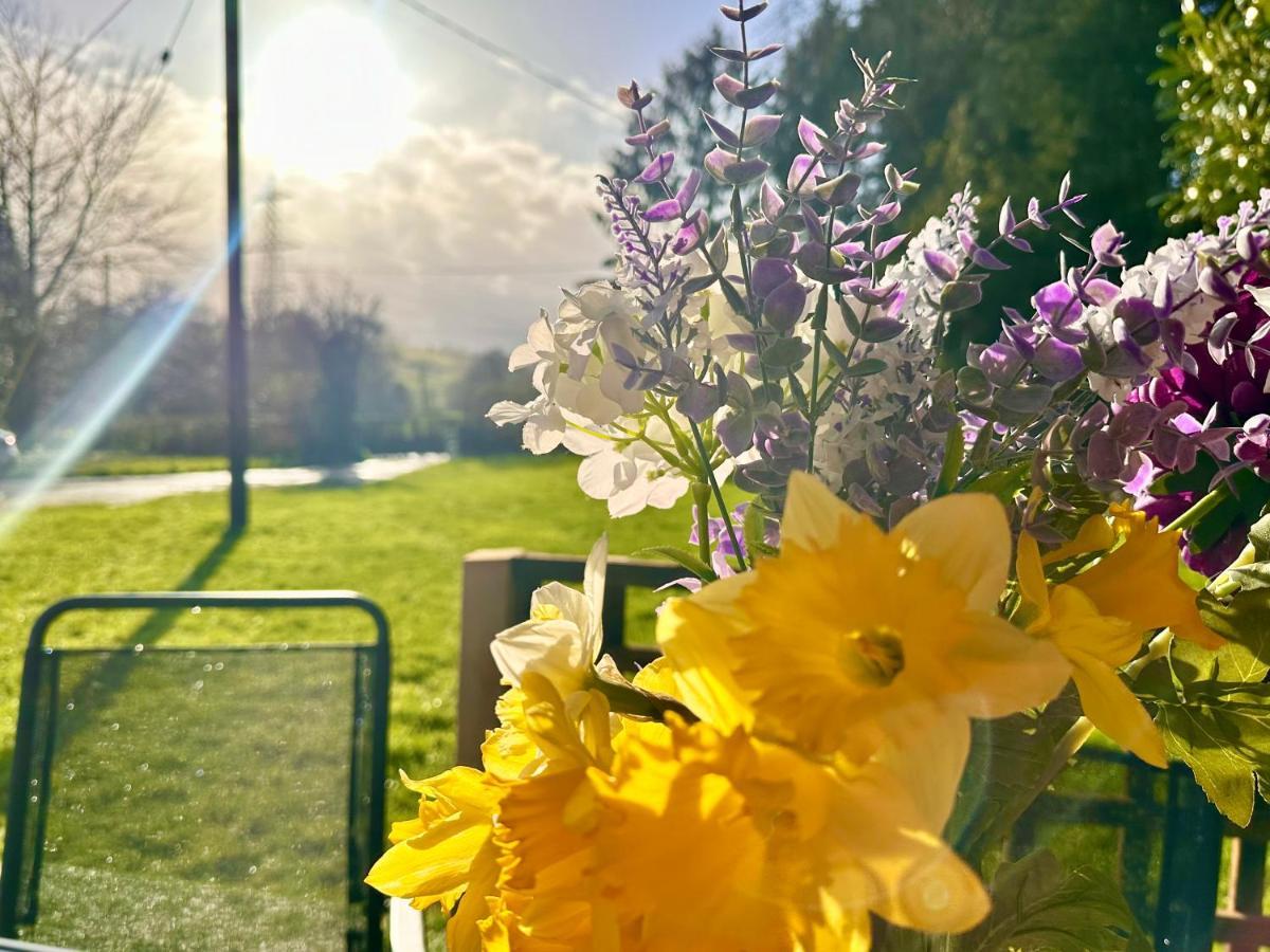 Three Bedroom Rural, Relaxing And Peaceful,Dogs Welcome! With Cymru Holidays 阿伯加文尼 外观 照片